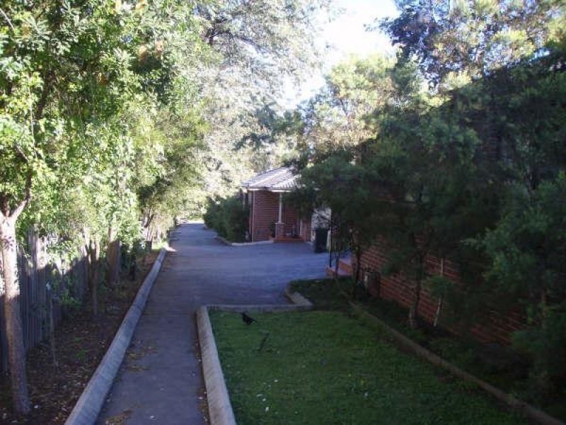 6 Wilkinson Lane, Telopea NSW 2117