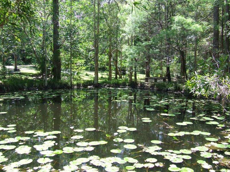 5 Park Court, Landsborough QLD 4550