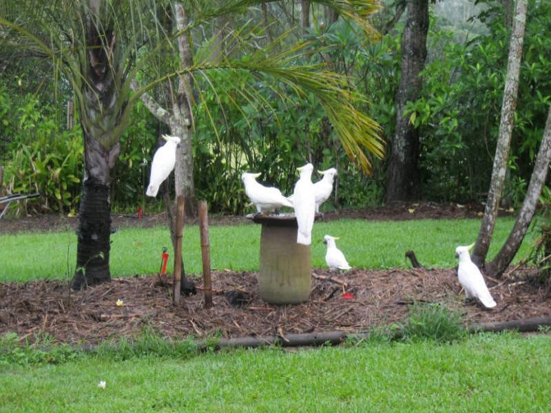 123 Old Peachester Road, Beerwah QLD 4519