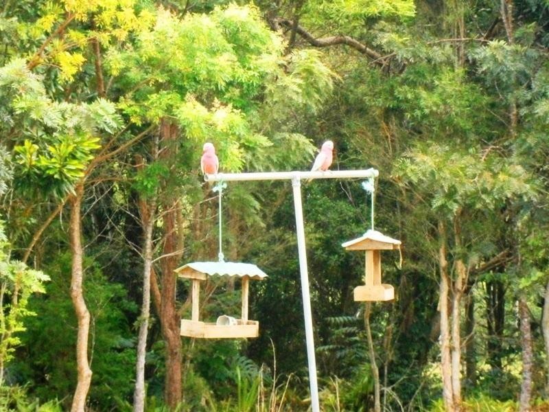 66 Harold Place, Peachester QLD 4519