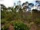 413 Connection road, Mooloolah Valley QLD 4553