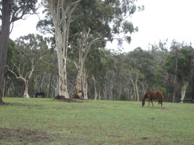 1480 Wombeyan Caves Road, High Range NSW 2575