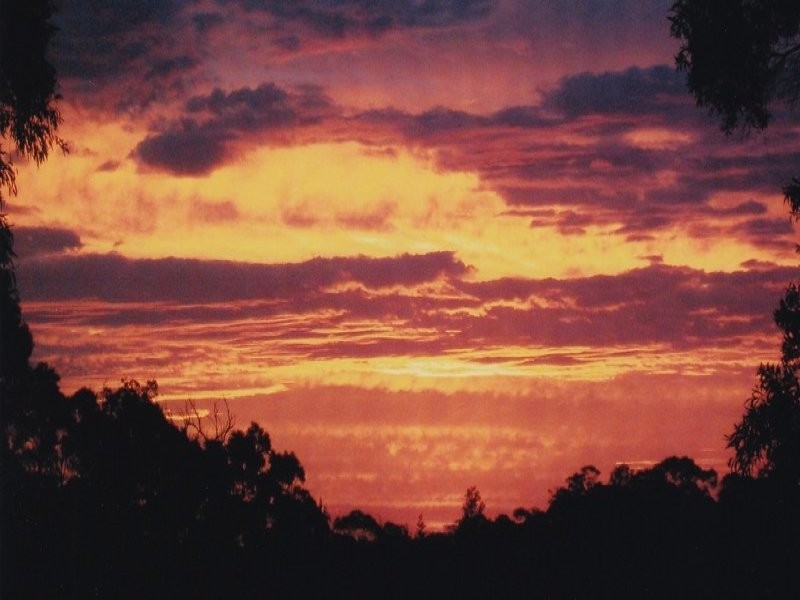 2320 Canyonleigh Road, Canyonleigh NSW 2577