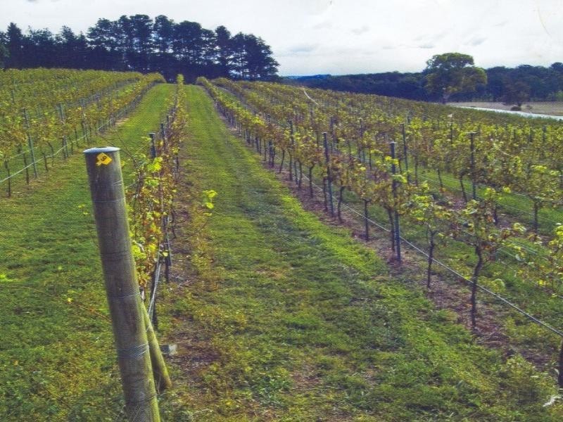 48 Joadja Road, Berrima NSW 2577