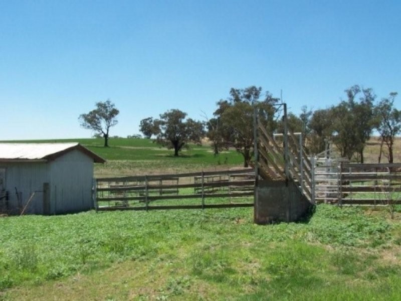 Lot 2 Rosehill Road, Cootamundra NSW 2590