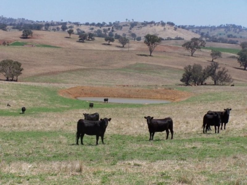 0 Rosehill Road, Cootamundra NSW 2590