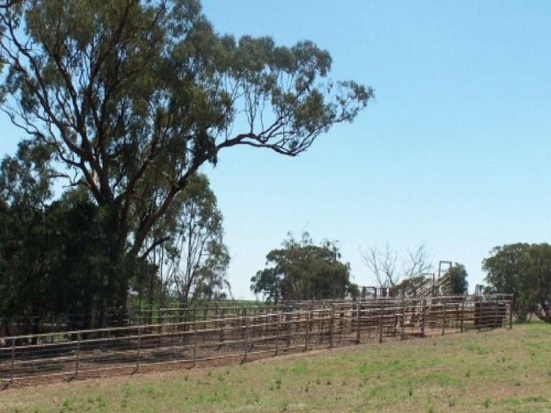 0 Rosehill Road, Cootamundra NSW 2590