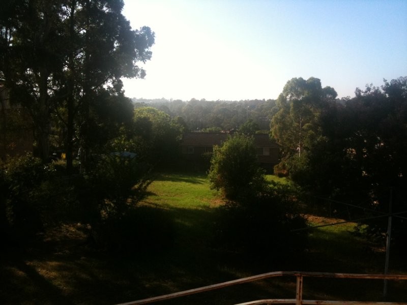 52 Cornelia Road, Toongabbie NSW 2146