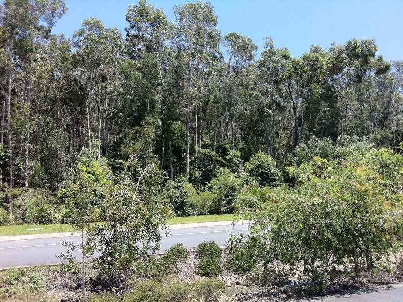 Lot 350 Lot 350 University Way, Sippy Downs QLD 4556