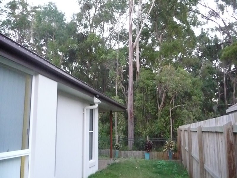 12 Quinine Crescent, Mountain Creek QLD 4557