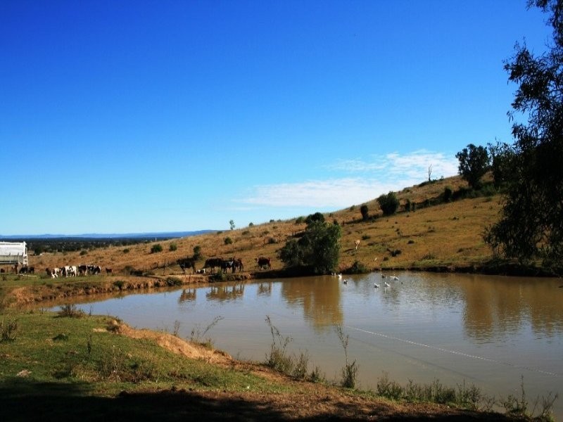 Lot 271 Brahman Road, Summerholm QLD 4341