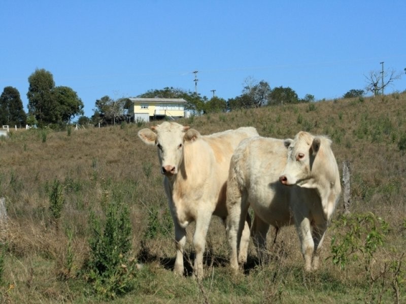 Haigslea QLD 4306