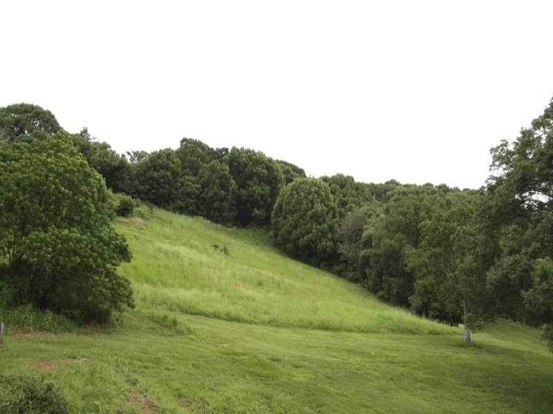 Lot 12 Curtawilla Street, Banora Point NSW 2486