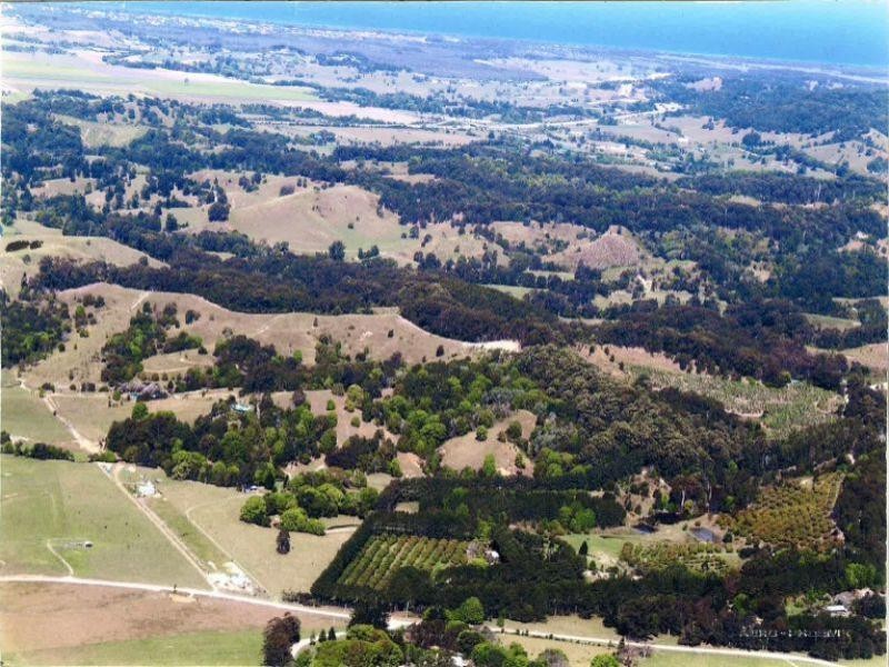 Organic Farm, Palmvale Road, Murwillumbah NSW 2484