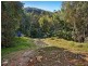 860 Tallebudgera Creek Road, Tallebudgera Valley QLD 4228
