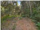 860 Tallebudgera Creek Road, Tallebudgera Valley QLD 4228