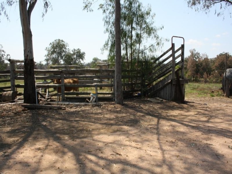 159 Barlyne Road, Gayndah QLD 4625