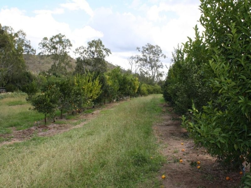 Lot 22 Winifred Cobbo Street, Gayndah QLD 4625