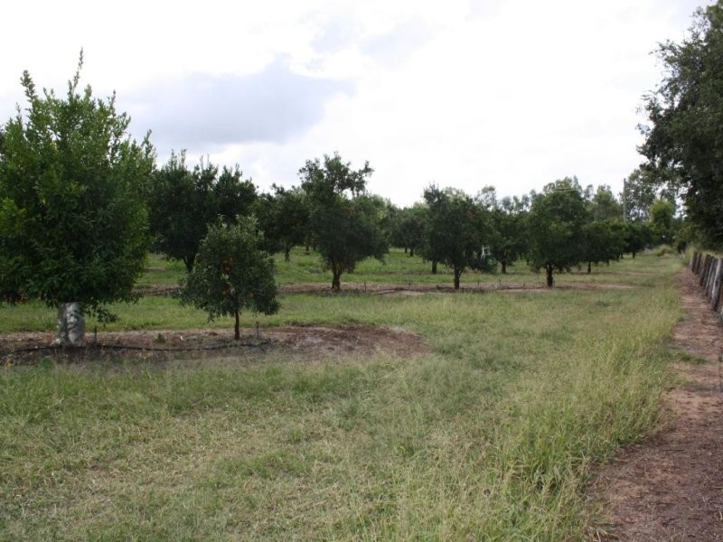 Lot 22 Winifred Cobbo Street, Gayndah QLD 4625