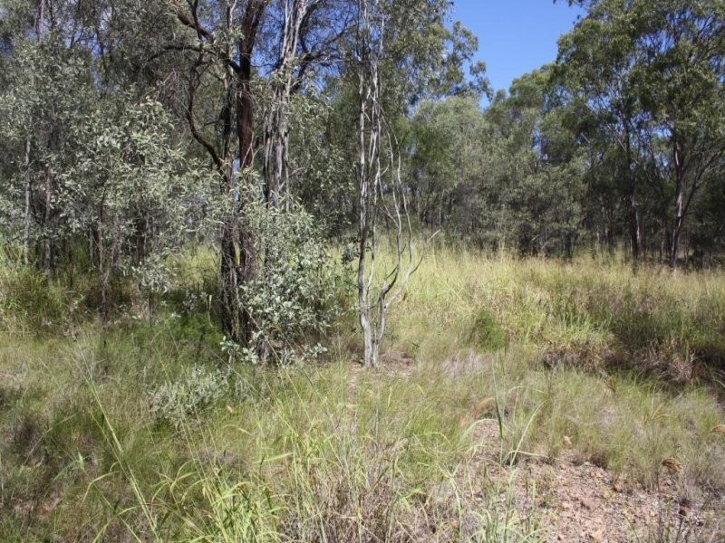 Lot 141 Snelling Street, Eidsvold QLD 4627