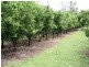 Lot 29 Burnett Highway, Gayndah QLD 4625
