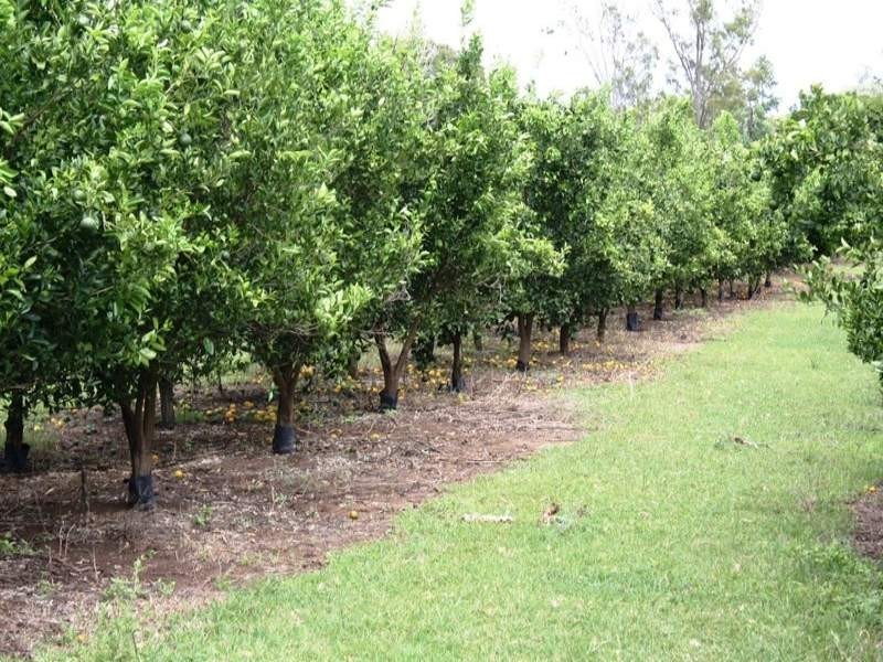 Lot 29 Burnett Highway, Gayndah QLD 4625