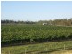 196 Old Burrandowan Road, Jandowae QLD 4410