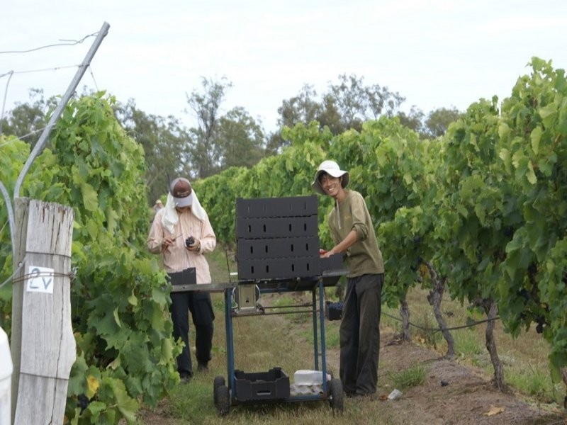 196 Old Burrandowan Road, Jandowae QLD 4410