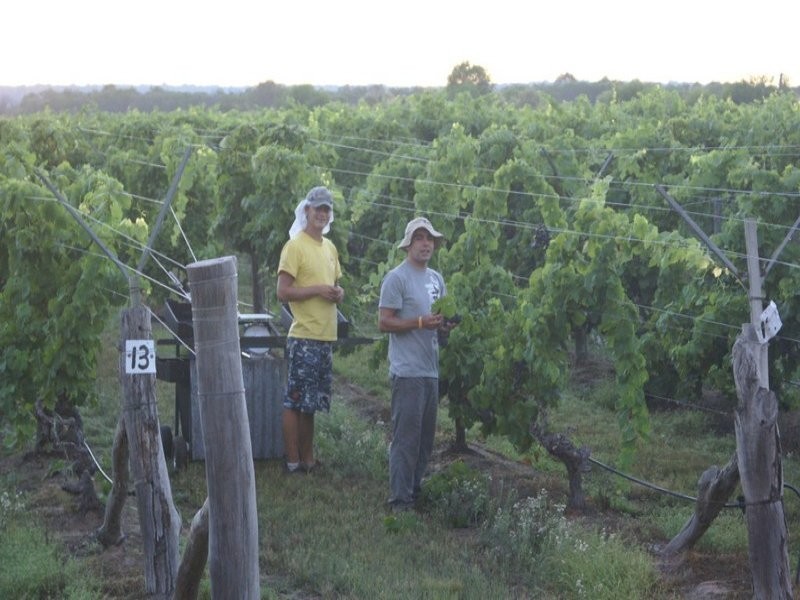 196 Old Burrandowan Road, Jandowae QLD 4410