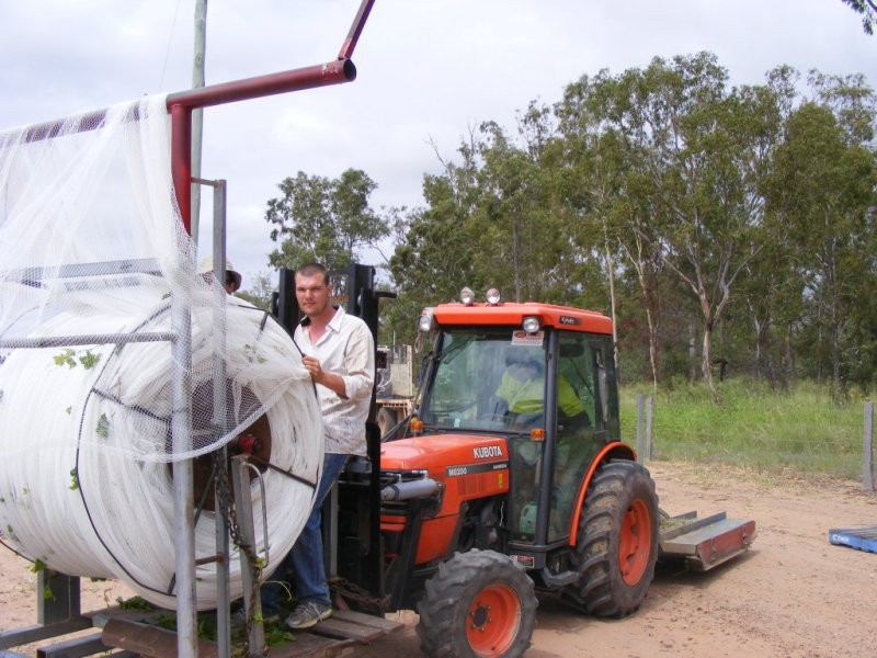 Jinghi Valley Vineyard, 196 Burrandowan Road, Jandowae QLD 4410