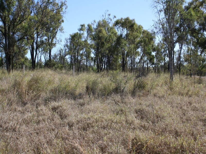 20765 Burnett Highway, Mundubbera QLD 4626