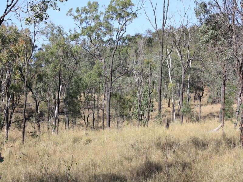 0 Glen Eden Road, Glen Eden QLD 4680