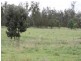32 Kerwee Road, Eidsvold QLD 4627