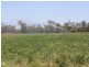 229 Coonambula-Eidsvold Road, Mundubbera QLD 4626