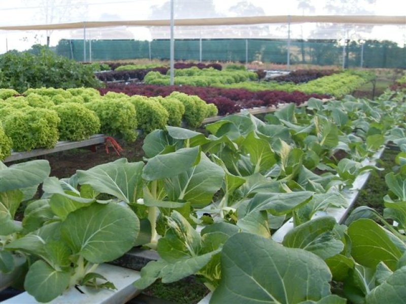 10 Morgans Road, Windera QLD 4605