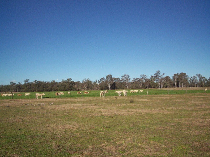 18 Cania Road, Monto QLD 4630
