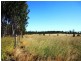 Lot 2 Wuruma Road, Abercorn QLD 4627