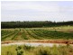 375 Allies Creek Road, Monogorilby QLD 4626