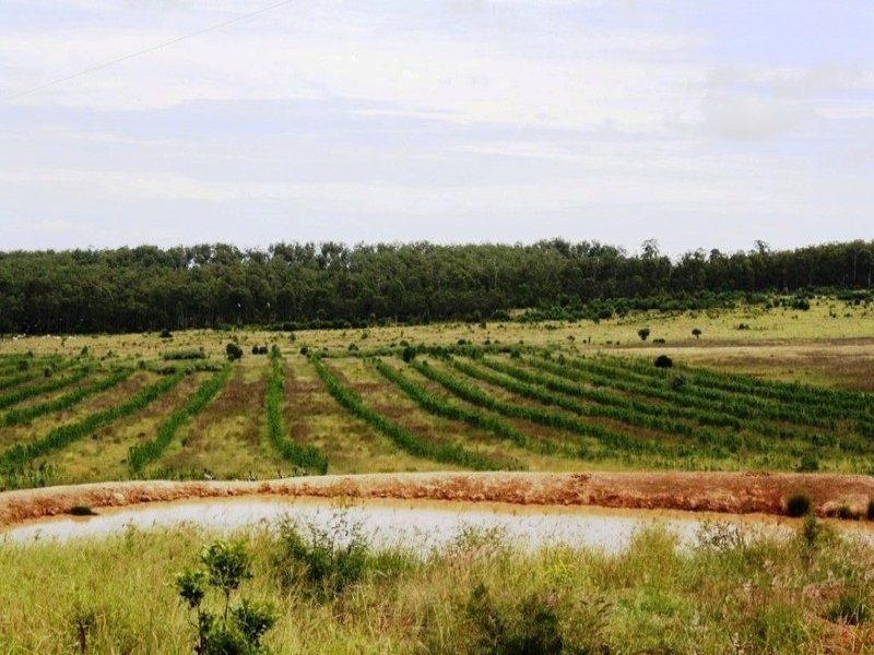 375 Allies Creek Road, Monogorilby QLD 4626