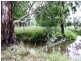 375 Allies Creek Road, Monogorilby QLD 4626