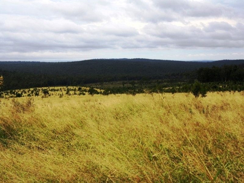375 Allies Creek Road, Monogorilby QLD 4626