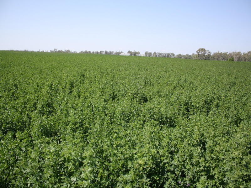 590 Riverleigh Station Road, Mundubbera QLD 4626