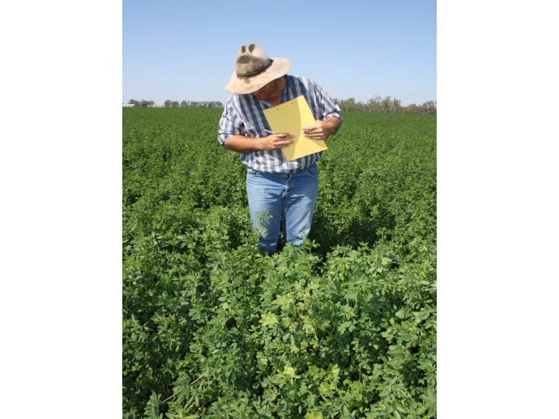 590 Riverleigh Station Road, Mundubbera QLD 4626