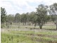 Monto QLD 4630