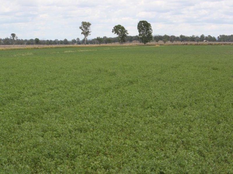 Mulgildie QLD 4630