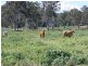 Monto QLD 4630