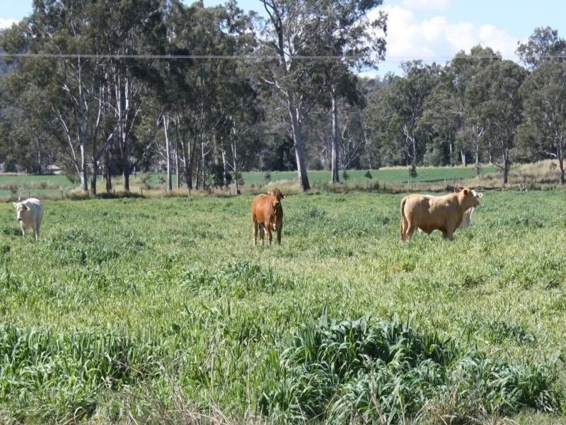 Monto QLD 4630