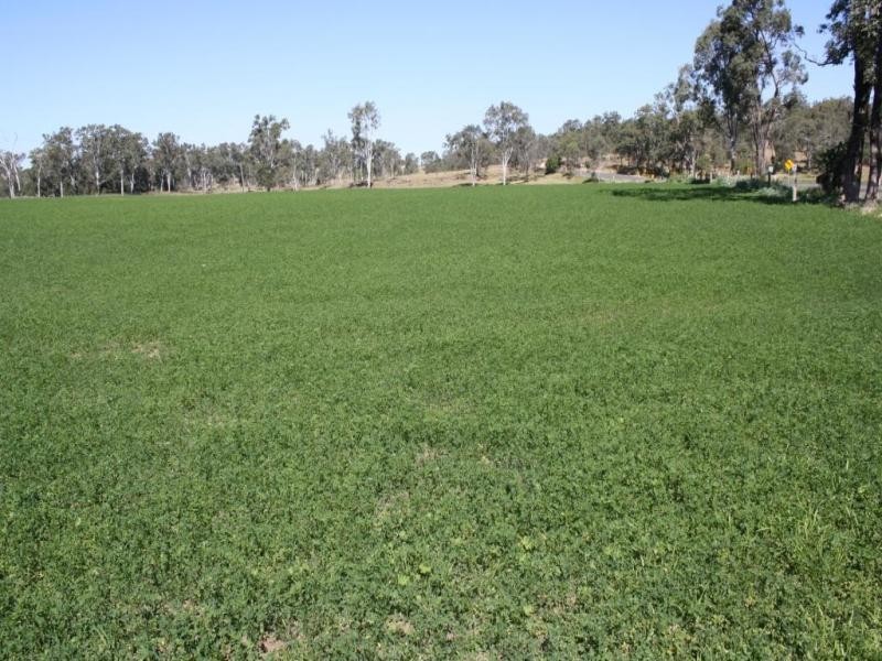 Monto QLD 4630
