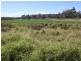 Monto QLD 4630