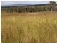 Proston QLD 4613
